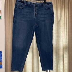 Falls Creek Plus Size Womens Button Fly 5 Pocket Blue Jeans Size 24